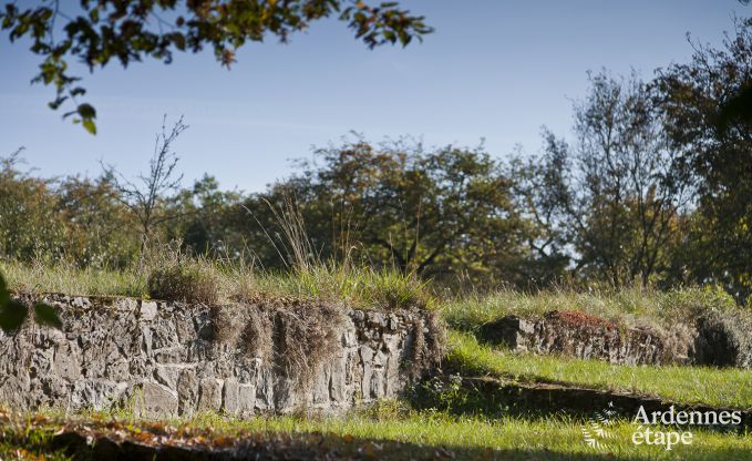 Gite de charme � Fala�n pour 13 personnes en Ardenne