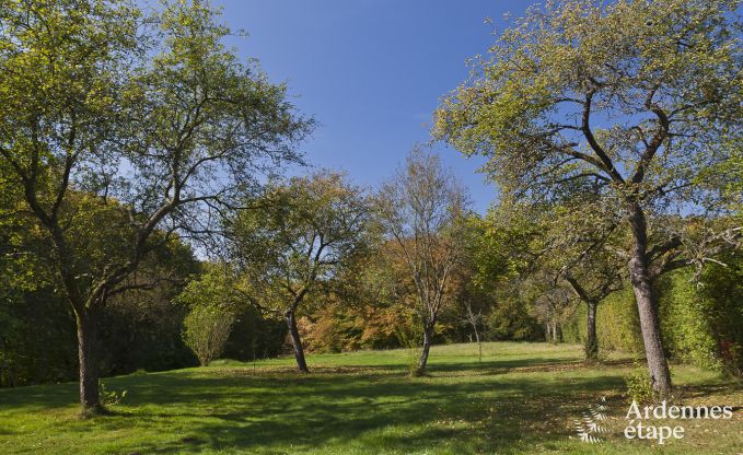 Gite de charme � Fala�n pour 13 personnes en Ardenne