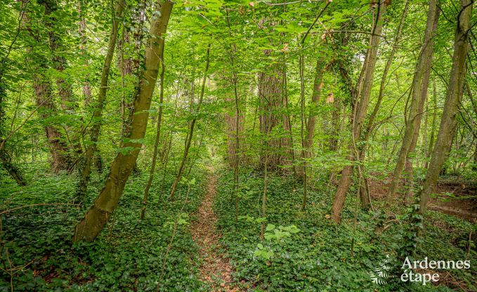 Maison de vacances � Fernelmont pour 2/4 personnes en Ardenne