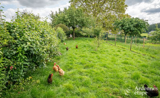 Maison de vacances  Ferrires pour 2/3 personnes en Ardenne