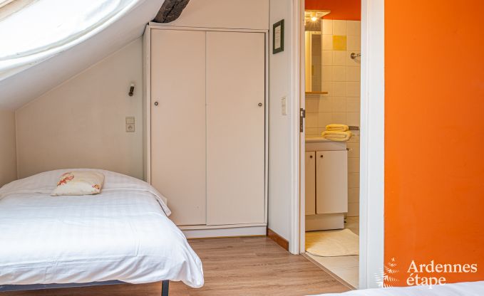 Grande maison de vacances pour 32 personnes  Ferrires avec 12 chambres, sauna, jacuzzi et quipements de jeux