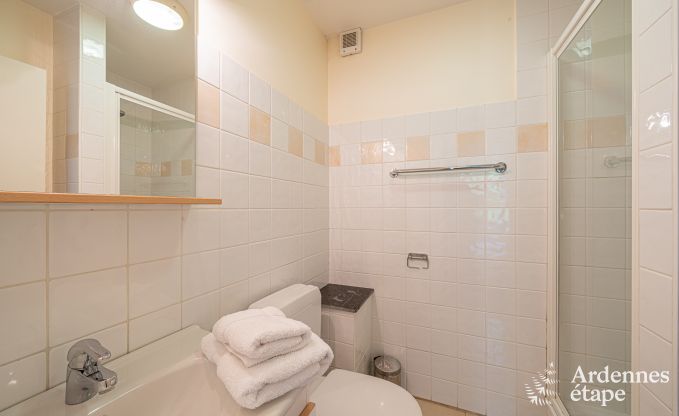 Grande maison de vacances pour 32 personnes  Ferrires avec 12 chambres, sauna, jacuzzi et quipements de jeux