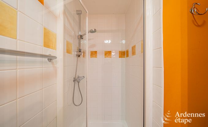 Grande maison de vacances pour 32 personnes � Ferri�res avec 12 chambres, sauna, jacuzzi et �quipements de jeux