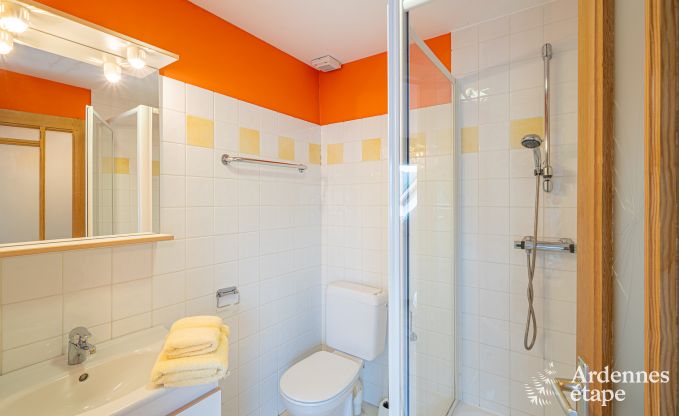 Grande maison de vacances pour 32 personnes � Ferri�res avec 12 chambres, sauna, jacuzzi et �quipements de jeux