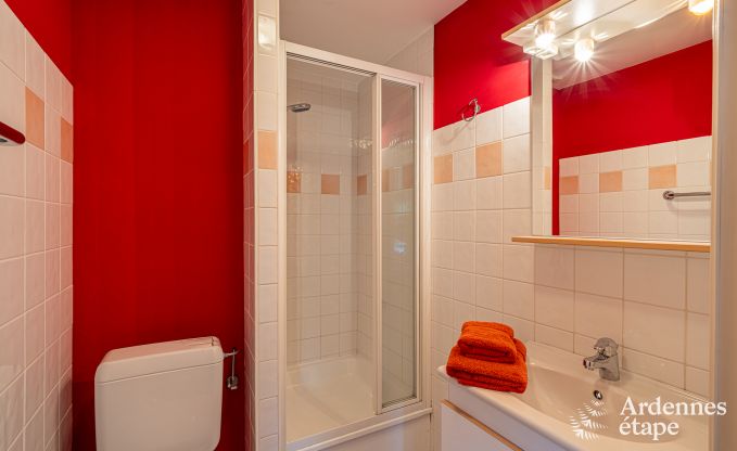 Grande maison de vacances pour 32 personnes � Ferri�res avec 12 chambres, sauna, jacuzzi et �quipements de jeux