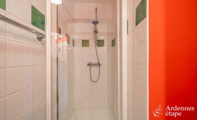 Grande maison de vacances pour 32 personnes � Ferri�res avec 12 chambres, sauna, jacuzzi et �quipements de jeux