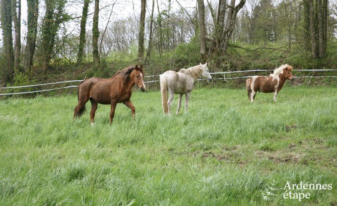 Maison de vacances � Ferri�res pour 20 personnes en Ardenne