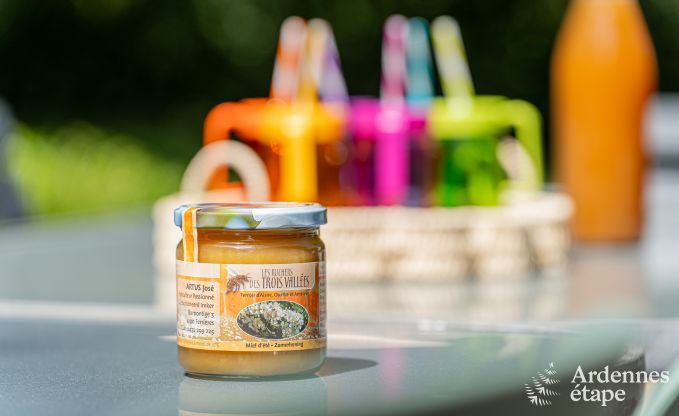 Maison de vacances  Ferrires pour 32 personnes en Ardenne