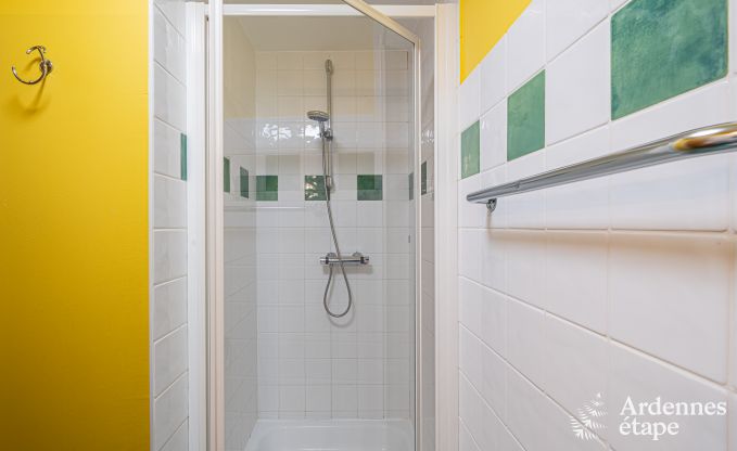 Grande maison de vacances pour 32 personnes  Ferrires avec 12 chambres, sauna, jacuzzi et quipements de jeux