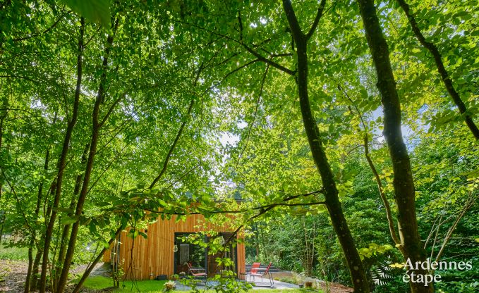 Charmant chalet pour 4 personnes avec 2 chambres, terrasse prive et barbecue