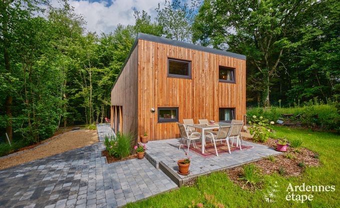 Charmant chalet pour 4 personnes avec 2 chambres, terrasse prive et barbecue