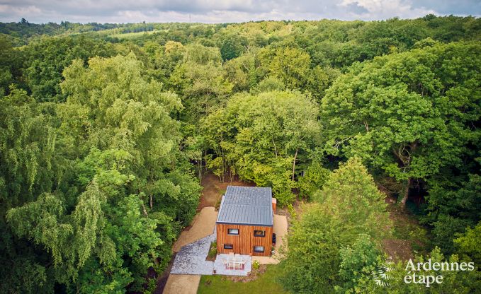 Charmant chalet pour 4 personnes avec 2 chambres, terrasse prive et barbecue