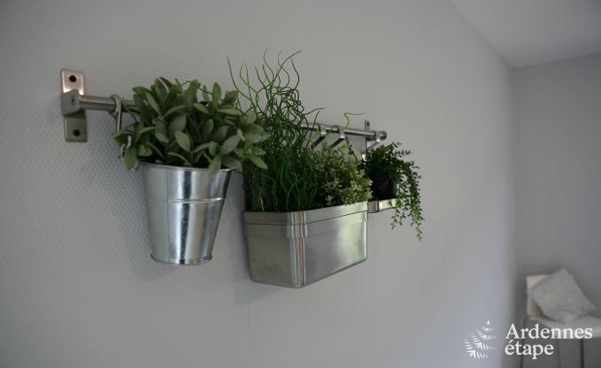 Appartement � Florenville pour 4 personnes en Ardenne