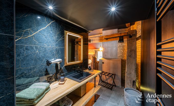 Maison romantique de luxe pour 2 personnes  Sainte-Ccile, avec sauna et jacuzzi dans une ancienne scierie