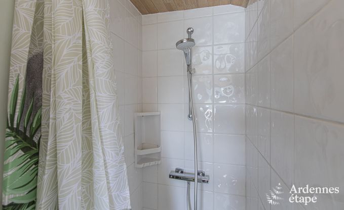 Maison de vacances  Florenville pour 8 personnes en Ardenne