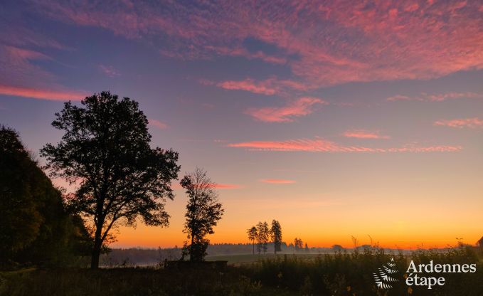 Maison de vacances  Florenville pour 29/31 personnes en Ardenne