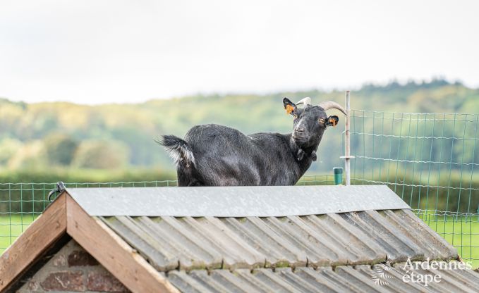 Maison de vacances  Fourons pour 10 personnes en Ardenne