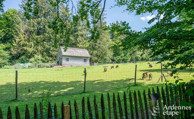 Confortable maison de vacances � Francorchamps, Hautes Fagnes