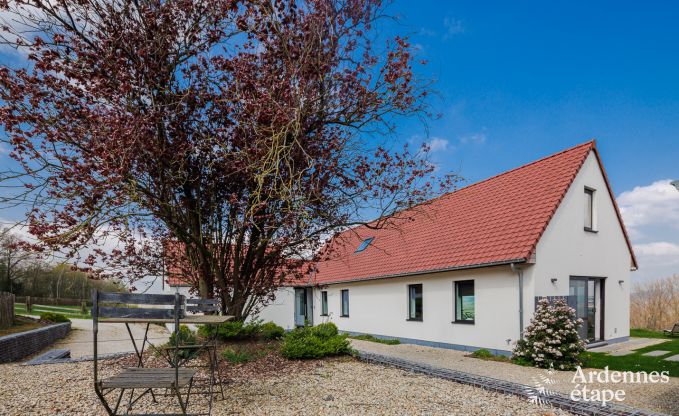 Villa de Luxe  Frasnes-lez-Anvaing pour 6/8 personnes en Ardenne