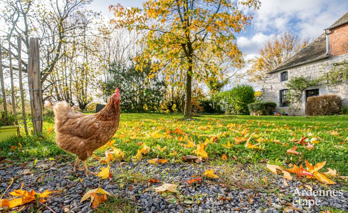 Fermette authentique avec 3 chambres et jardin privé dans un parc naturel entre Sambre et Meuse