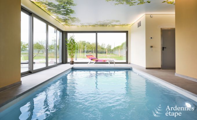 Maison de vacances avec piscine int�rieure � Froidchapelle, Ardenne