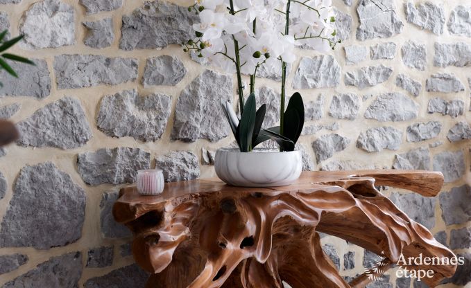 Maison de vacances avec piscine int�rieure � Froidchapelle, Ardenne