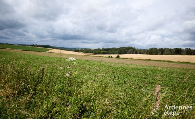 Maison de vacances avec piscine int�rieure � Froidchapelle, Ardenne