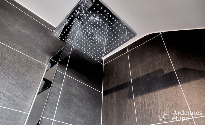 Maison de vacances avec piscine int�rieure � Froidchapelle, Ardenne