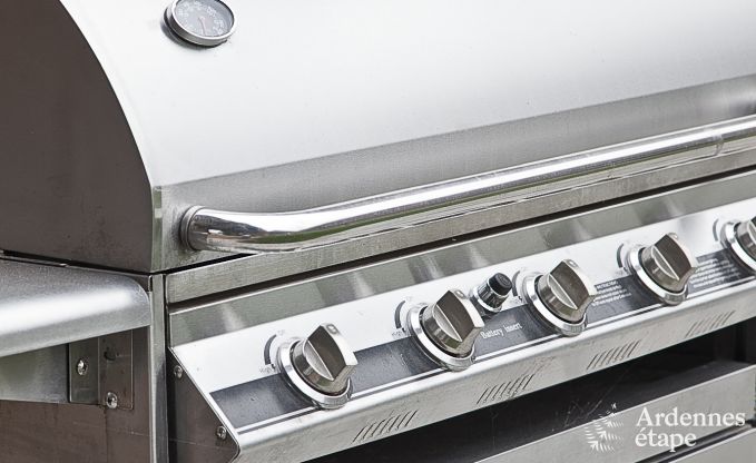 Maison de vacances de luxe  Froidthier pour 10 personnes avec piscine, bien-tre et 5 chambres prs d'Aubel