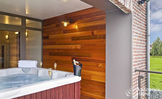 Maison de vacances de luxe  Froidthier pour 10 personnes avec piscine, bien-tre et 5 chambres prs d'Aubel