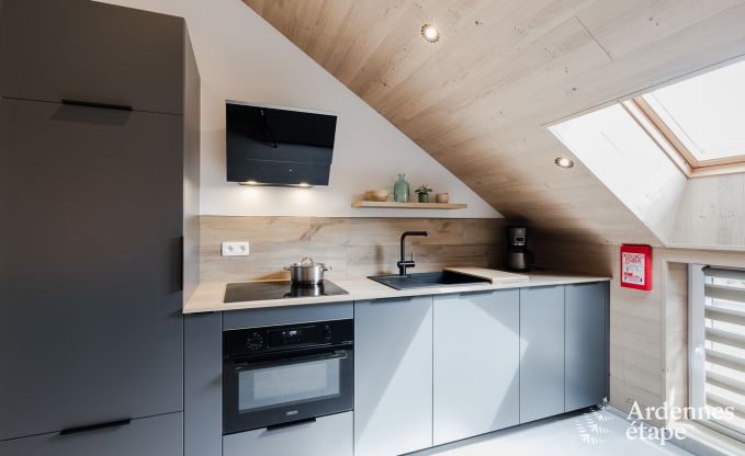 Magnifique h�bergement de vacances compos� de deux appartements (6 et 4 personnes) � Rienne