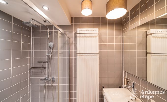 Magnifique ch�teau de luxe � Gedinne, Ardenne