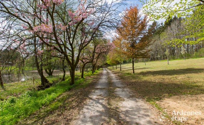 Maison de vacances � Gedinne pour 16/18 personnes en Ardenne