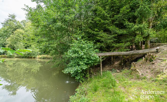 Villa de vacances exceptionnelle pour 14 personnes � Gedinne, Ardenne