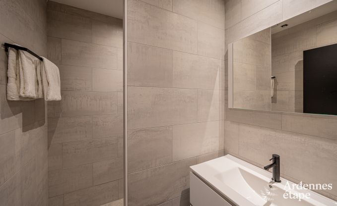 Villa de vacances exceptionnelle pour 14 personnes � Gedinne, Ardenne