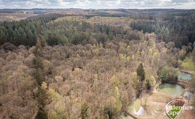 Villa de vacances exceptionnelle pour 14 personnes � Gedinne, Ardenne