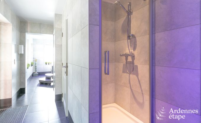 Villa de Luxe  Gedinne pour 18 personnes en Ardenne