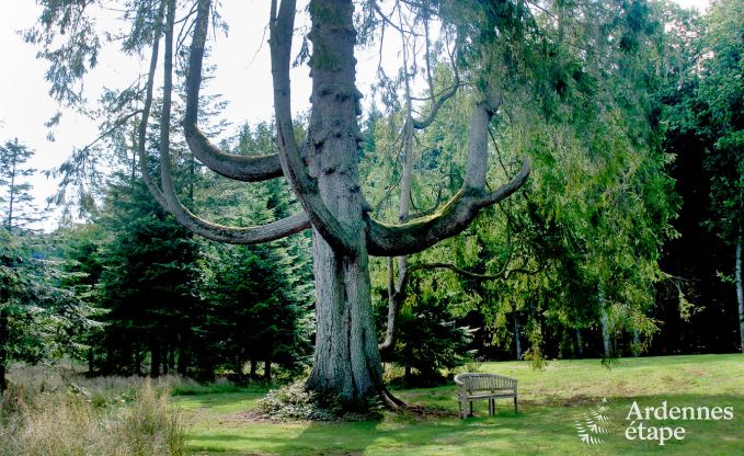 Villa de Luxe  Gedinne pour 18 personnes en Ardenne