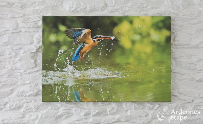 Villa de Luxe  Gedinne pour 18 personnes en Ardenne