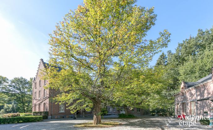 Villa de Luxe  Gedinne pour 18 personnes en Ardenne