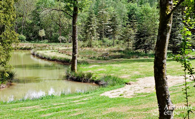 Villa de Luxe  Gedinne pour 18 personnes en Ardenne