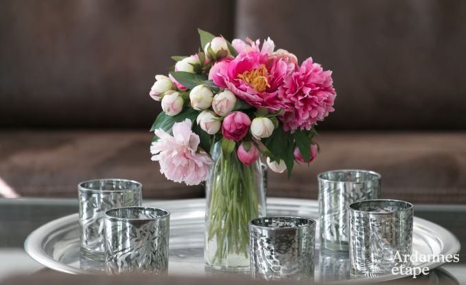 Villa de Luxe  Gedinne pour 18 personnes en Ardenne