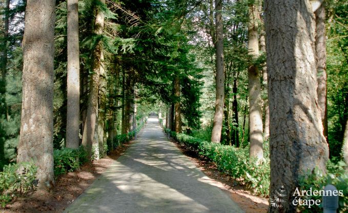 Villa de Luxe  Gedinne pour 18 personnes en Ardenne