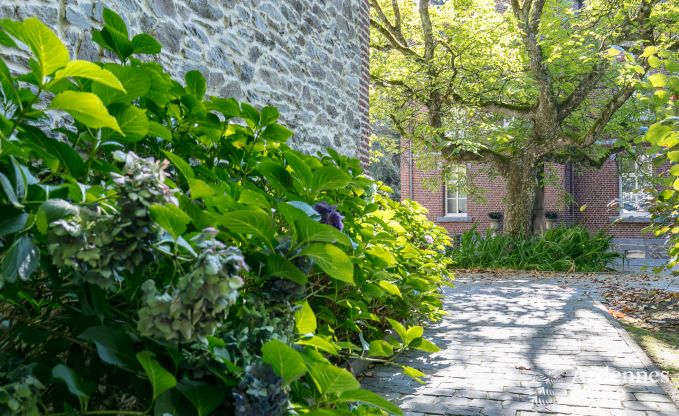 Villa de Luxe  Gedinne pour 18 personnes en Ardenne