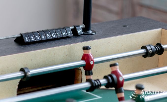 Villa de Luxe  Gedinne pour 18 personnes en Ardenne