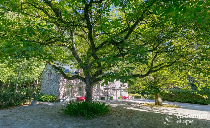 Villa de Luxe  Gedinne pour 18 personnes en Ardenne