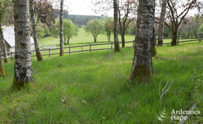 Maison de vacances  Gedinne pour 16/18 personnes en Ardenne