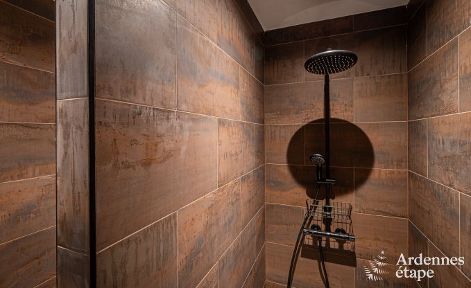 Villa de vacances exceptionnelle pour 14 personnes  Gedinne, Ardenne