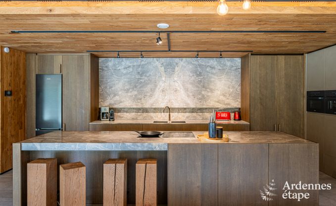 Villa de vacances exceptionnelle pour 14 personnes  Gedinne, Ardenne