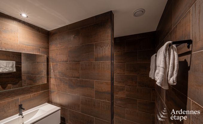 Villa de vacances exceptionnelle pour 14 personnes  Gedinne, Ardenne